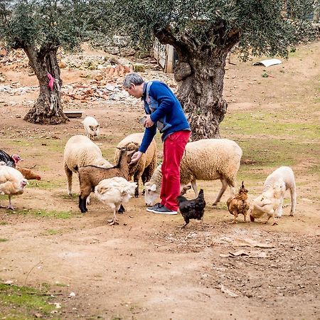 Quinta Manel Da Gaita Βίλα Torres Novas Εξωτερικό φωτογραφία