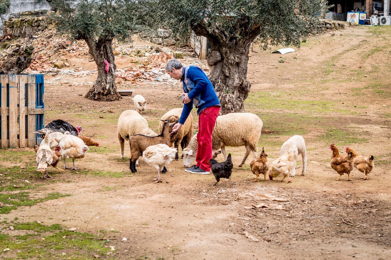 Quinta Manel Da Gaita Βίλα Torres Novas Εξωτερικό φωτογραφία